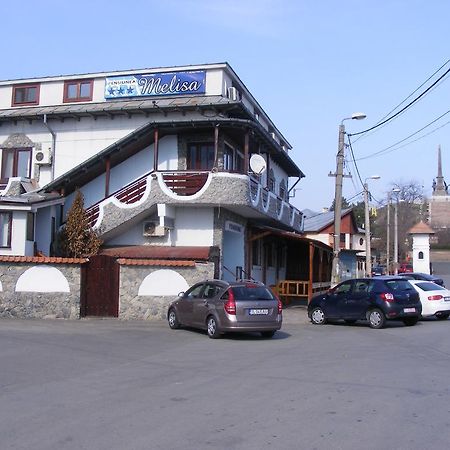 Pensiunea Melisa Tulcea Exterior photo